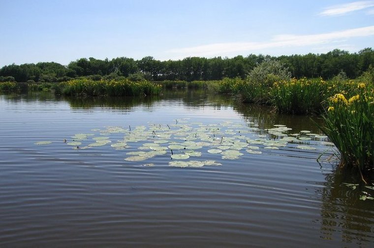 Etang Etang